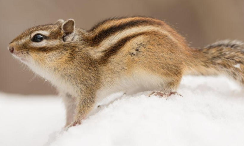 浙江华乐电子有限公司轮播图4