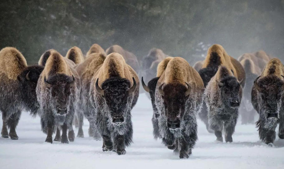 浙江华乐电子有限公司轮播图3